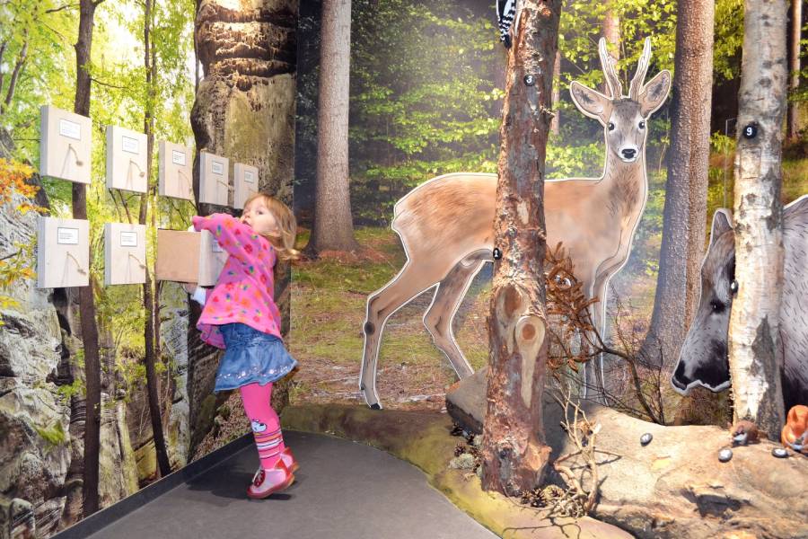 Den otevřených dveří v Domě přírody Českého ráje. Zdroj: AOPK