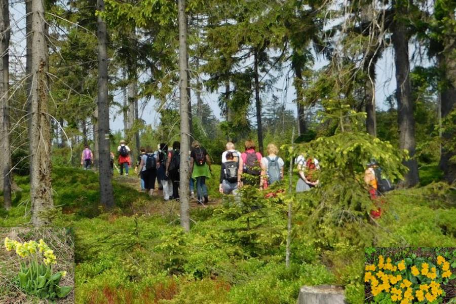 Jarním Českým krasem. Zdroj: TJ Lokomotiva Beroun