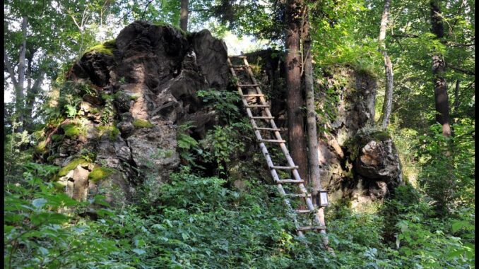Zřícenina hradu Nístějka. Foto: Petr Fabian, www.hrady-zriceniny.cz