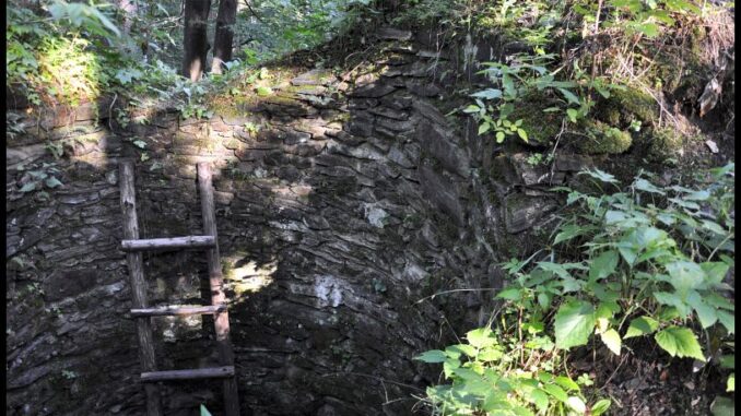 Zřícenina hradu Nístějka. Foto: Petr Fabian, www.hrady-zriceniny.cz