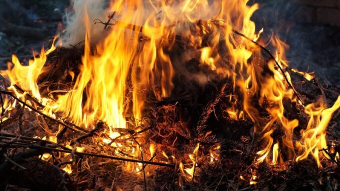 Zdroj foto: Pixabay.com