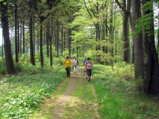 Palackého stezka. Zdroj: Klub českých turistů, odbor Hodslavice