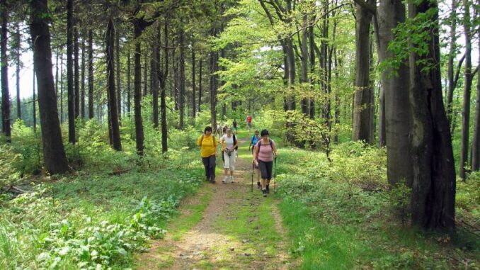 Palackého stezka. Zdroj: Klub českých turistů, odbor Hodslavice