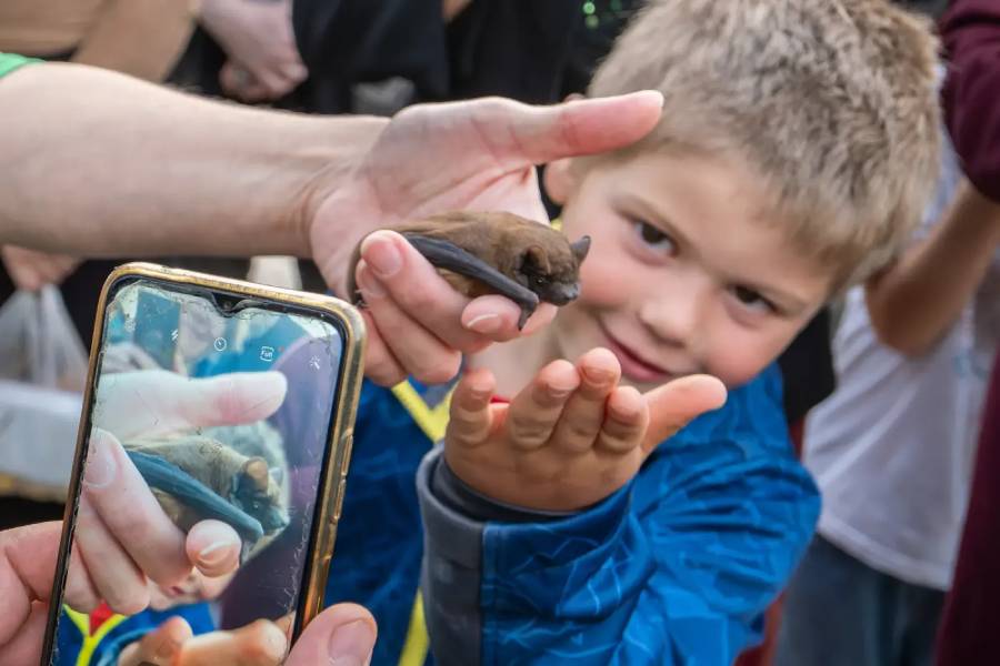 Lesem za zvířaty – Den Země 2026. Zdroj: Muzeum Říčany