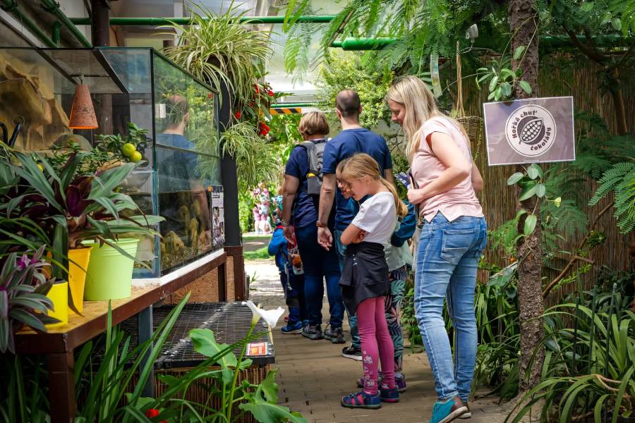 Ekologický festival Zeměfest. Zdroj: Ekocentrum Zahrada Mladá Boleslav