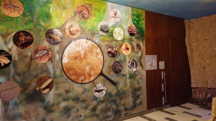 Přírodovědné muzeum Semenec. Foto: Anna Petruželková