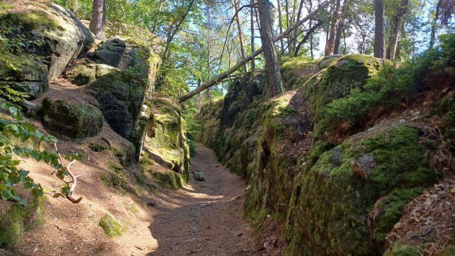 Průsečná skála na Kokořínsku. Foto: Anna Petruželková