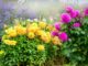 Zdroj foto: Pixabay.com