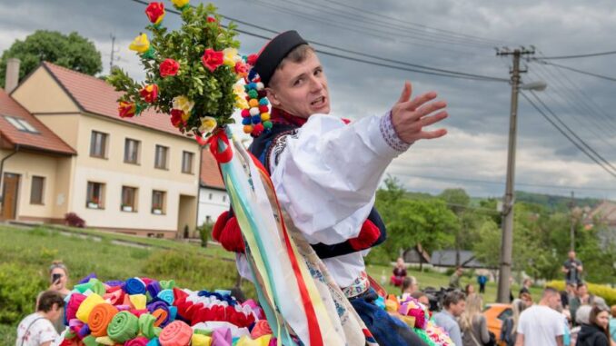Jízda králů je tradiční lidový zvyk spojený s bohatě zdobenými koňmi, pestrými kroji a oslavami. Zdroj: Společnost Jízdy králů Vlčnov