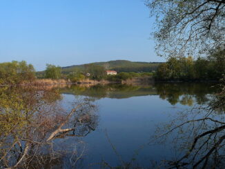 Křešovský rybník.