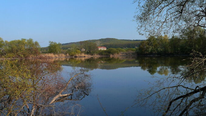 Křešovský rybník.