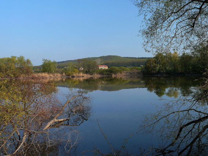 Křešovský rybník.