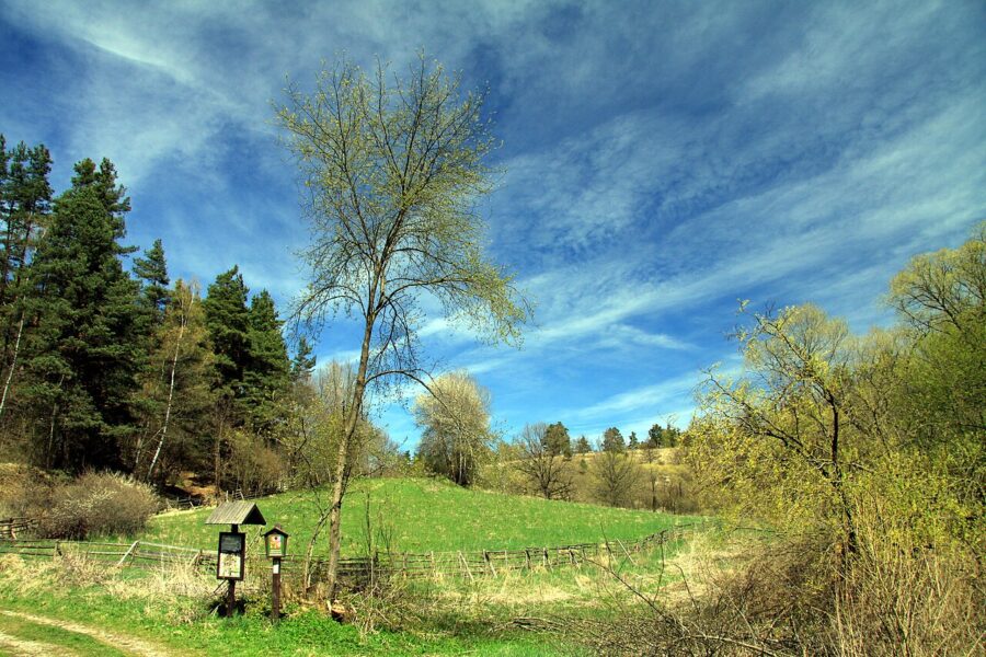 Národní přírodní rezervace Vyšenské kopce, okres Český Krumlov. Zdroj: wikimedia commons/autor Chmee2, licence CC BY-SA 3.0