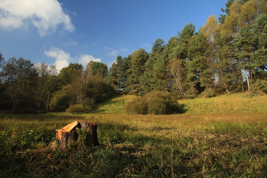 Přírodní rezervace Dobročkovské hadce, z části ležící na území CHKO Blanský les. Zdroj: wikimedia commons/autor Chmee2, licence CC BY-SA 3.0
