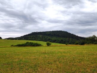 Přírodní rezervace Přimda. Foto: Václav Hrdina