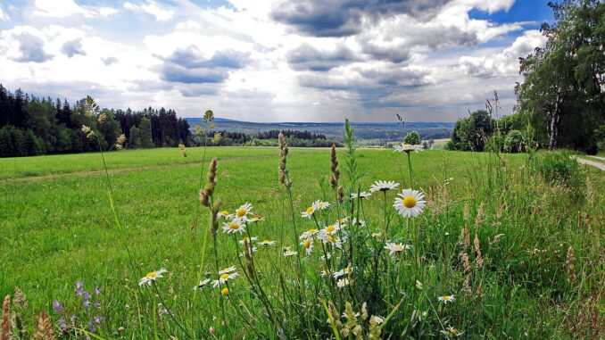 Přírodní park Smrčiny u zaniklé osady Újezd, u česko-německé hranice u Aše, okres Cheb. Autor: Lubor Ferenc, licence CC BY-SA 4.0. Zdroj: Wikimedia Commons