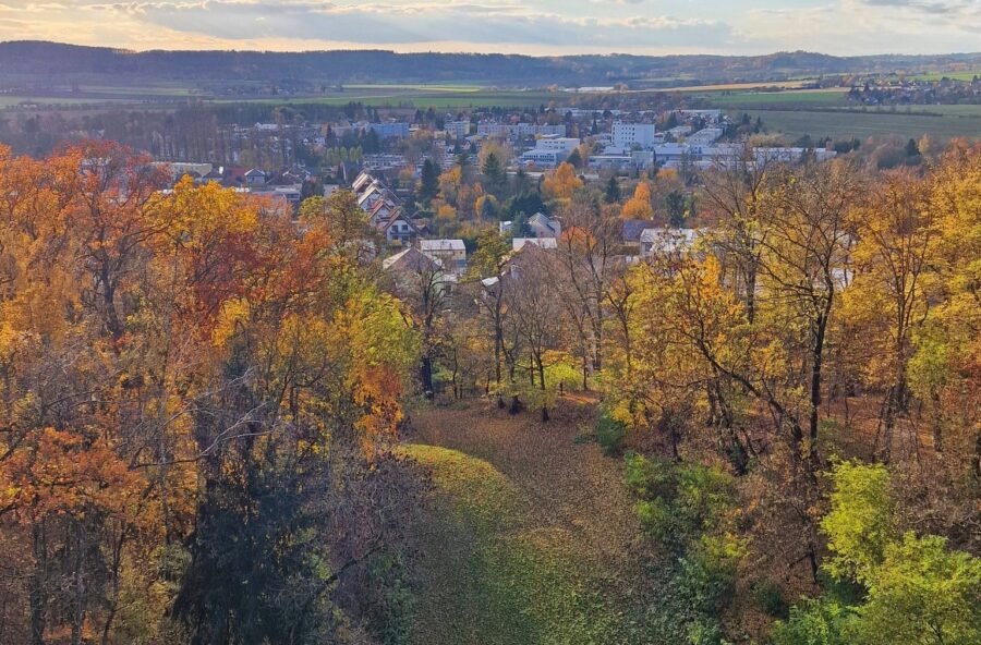 Výhled z rozhledny Milohlídka. Foto: Michael Kalfeřt