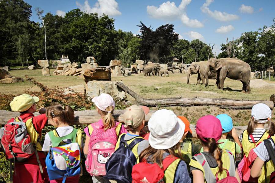 Den dětí v Zoo Praha tradičně nabízí symbolické vstupné pro děti (pouze za 1 Kč) a bohatý doprovodný program po celý den. Zdroj: Zoo Praha.