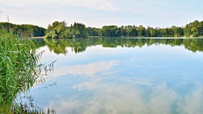Jezero Sadská. Foto: Wenceslaus Opletal 