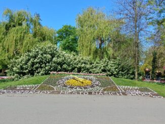 Lázeňský park v Poděbradech. Foto: Anna Petruželková