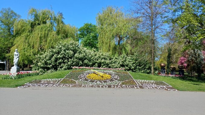 Lázeňský park v Poděbradech. Foto: Anna Petruželková