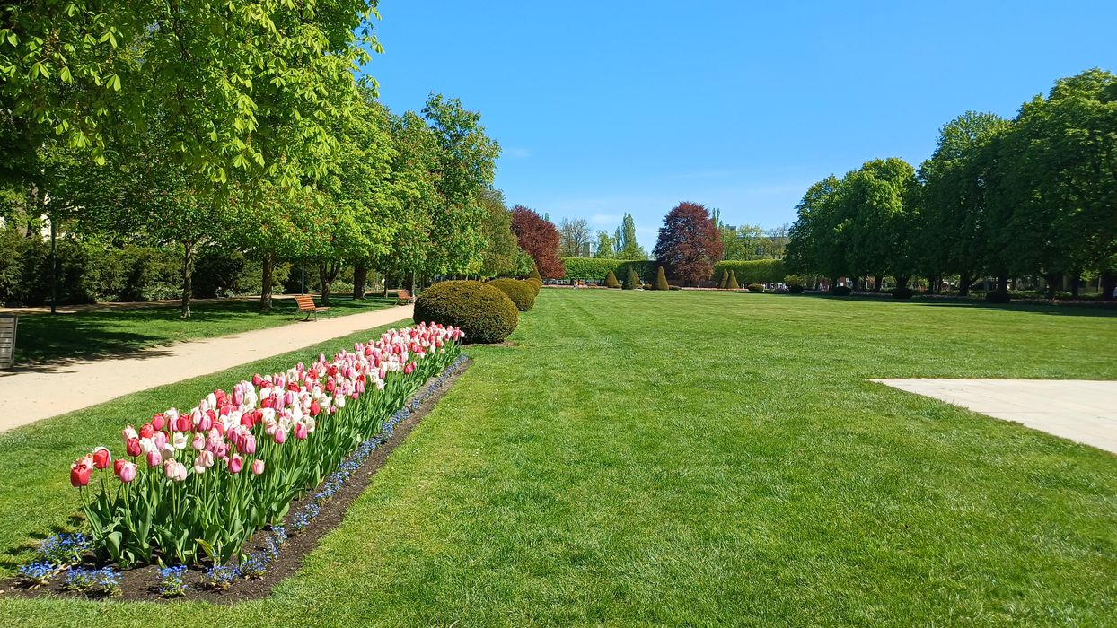 Lázeňský park v Poděbradech. Foto: Anna Petruželková
