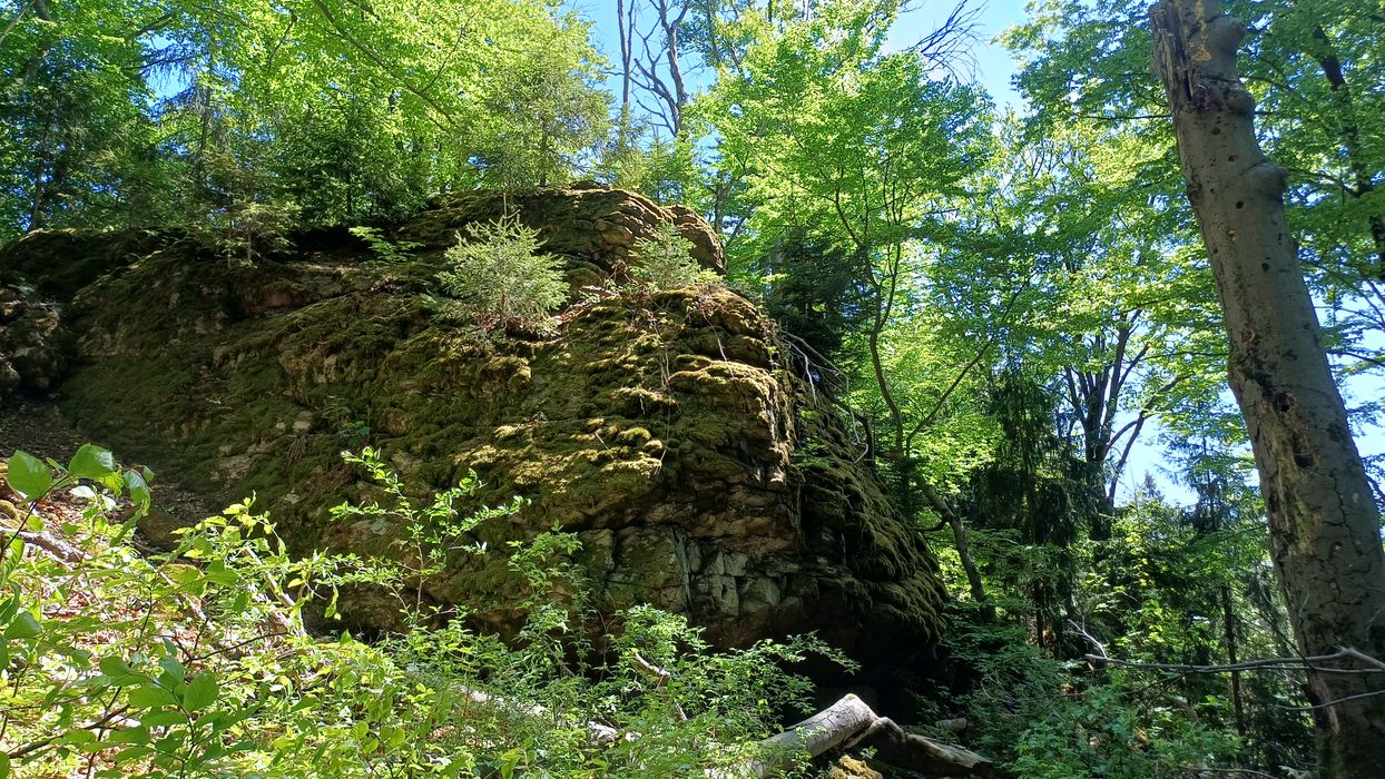 Přírodní památka Peperek ve Žďárských vrších. Foto: Anna Petruželková