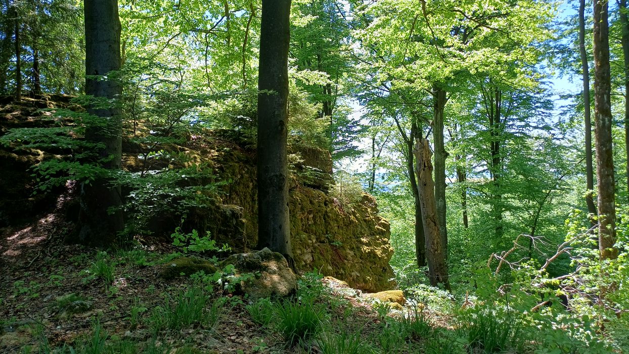 Přírodní památka Peperek ve Žďárských vrších. Foto: Anna Petruželková