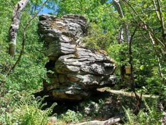 Čertův kámen nedaleko vrcholu Peperek ve Žďárských vrších. Foto: Anna Petruželková