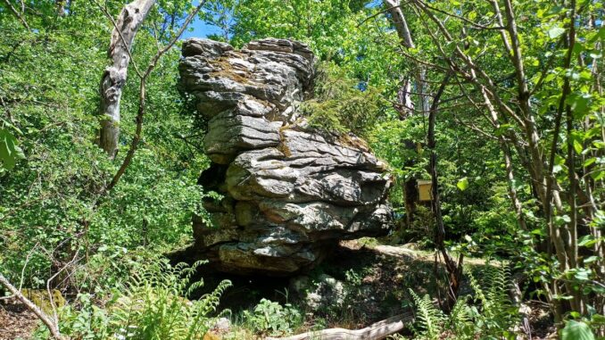 Čertův kámen nedaleko vrcholu Peperek ve Žďárských vrších. Foto: Anna Petruželková