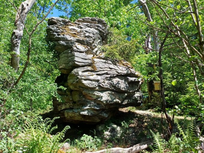 Čertův kámen nedaleko vrcholu Peperek ve Žďárských vrších. Foto: Anna Petruželková