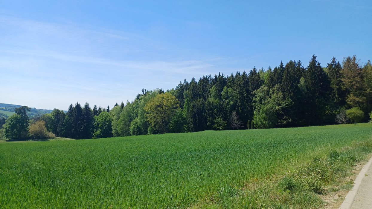 Krajina Žďárských vrchů u hranice Na Konci světa. Foto: Anna Petruželková