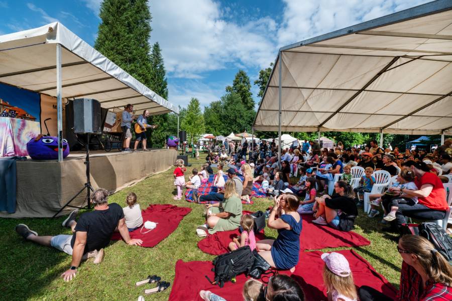 Borovanské Borůvkobraní je dvoudenní gastronomický a kulturní festival, který se koná každoročně v areálu kláštera v Borovanech u Českých Budějovic. Zdroj: Město Borovany