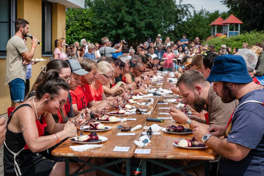 Borovanské Borůvkobraní je dvoudenní gastronomický a kulturní festival, který se koná každoročně v areálu kláštera v Borovanech u Českých Budějovic. Zdroj: Město Borovany