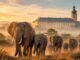 Interaktivní výstava Po stopách slonů proměňuje zámek v Doksech v symbolickou bránu do africké divočiny. Fotoilustrace: AI