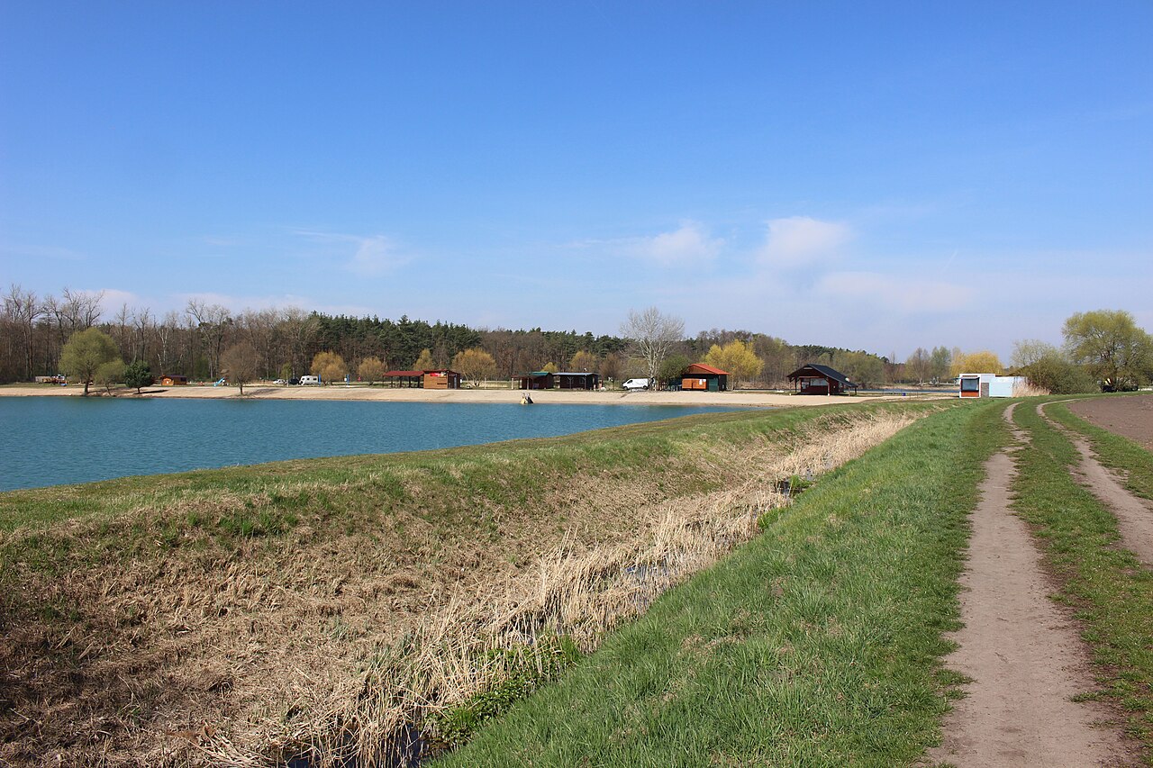 Konětopy, jezero Las Vegas. Autor: Hubert Kororo, licence CC BY-SA 4.0. Zdroj: <a href="https://commons.wikimedia.org/wiki/File:Kon%C4%9Btopy,_jezero_Las_Vegas_2022_04.jpg">Wikimedia Commons</a>