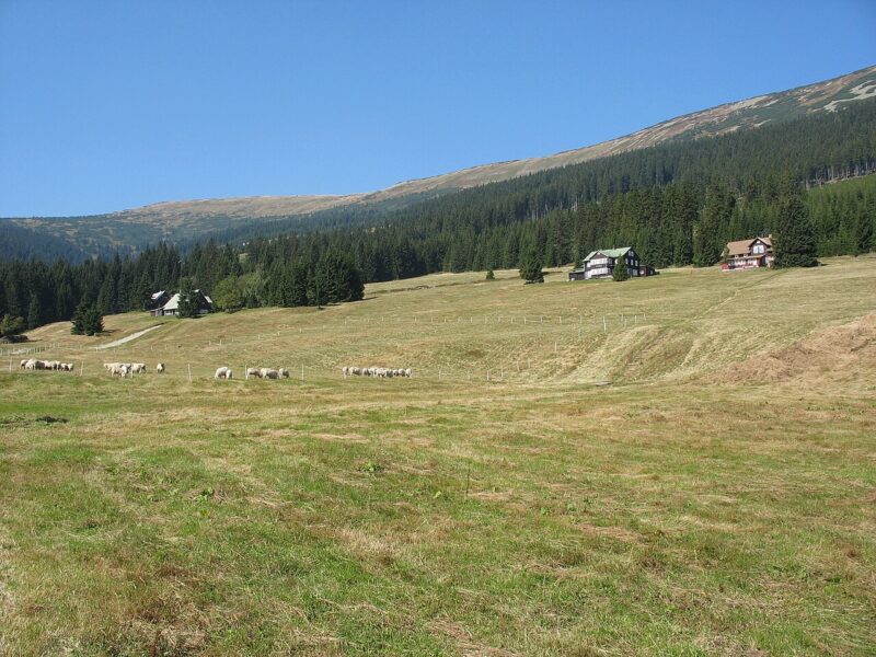 Roubenky v Modrém dole.
