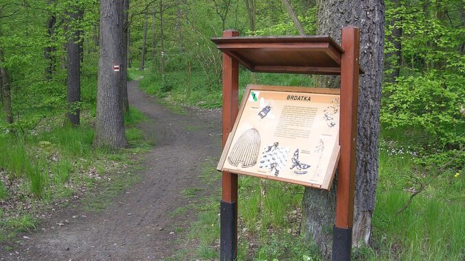 Informační tabule na naučné stezce.
