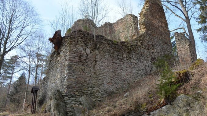 Zřícenina hradu Pajrek. Foto: Václav Hrdina