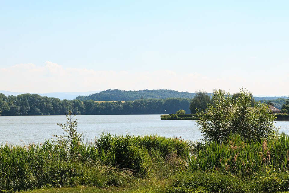 Rybník Broumar u Opočna. Autor: Petr1888, licence CC BY-SA 4.0. Zdroj: <a href="https://commons.wikimedia.org/wiki/File:Rybn%C3%ADk_Broumar_u_Opo%C4%8Dna_02.jpg">Wikimedia Commons</a>