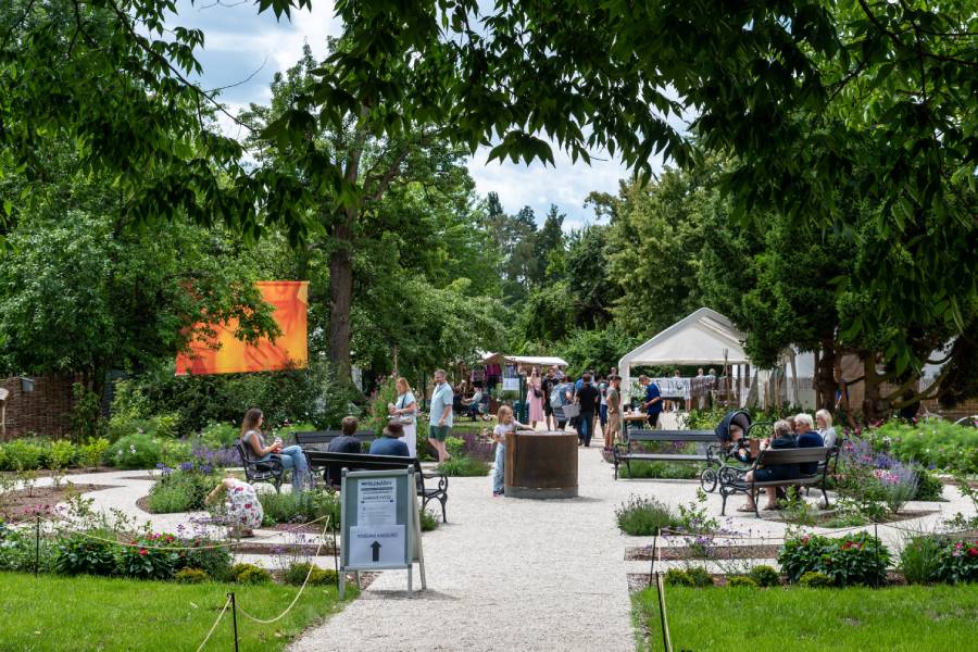 Borovanské Borůvkobraní je dvoudenní gastronomický a kulturní festival, který se koná každoročně v areálu kláštera v Borovanech u Českých Budějovic. Zdroj: Město Borovany